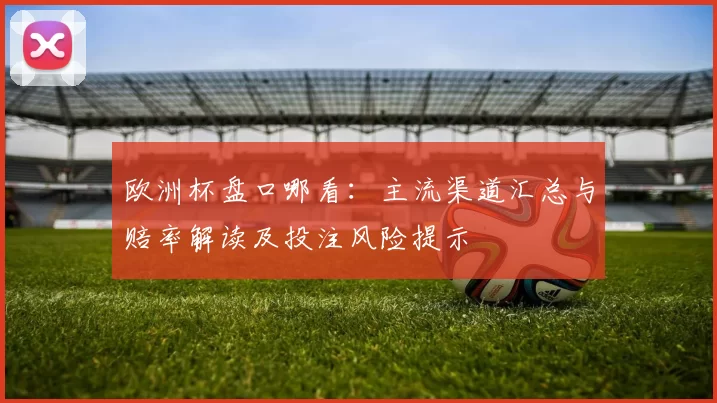 欧洲杯盘口哪看：主流渠道汇总与赔率解读及投注风险提示