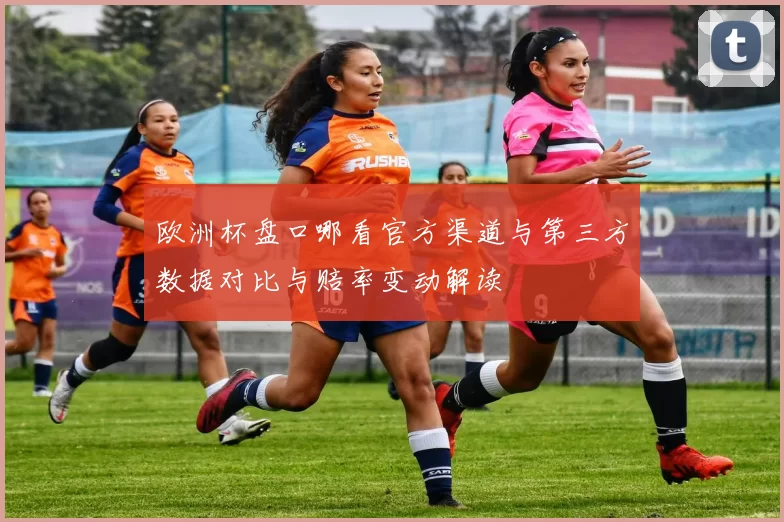 欧洲杯盘口哪看官方渠道与第三方数据对比与赔率变动解读