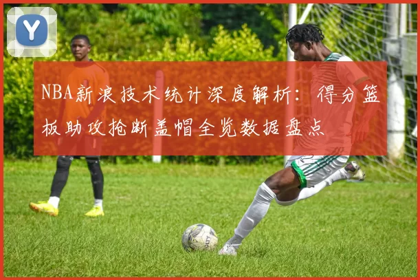 NBA新浪技术统计深度解析：得分篮板助攻抢断盖帽全览数据盘点