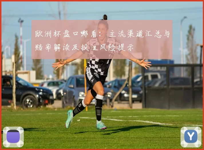 欧洲杯盘口哪看：主流渠道汇总与赔率解读及投注风险提示