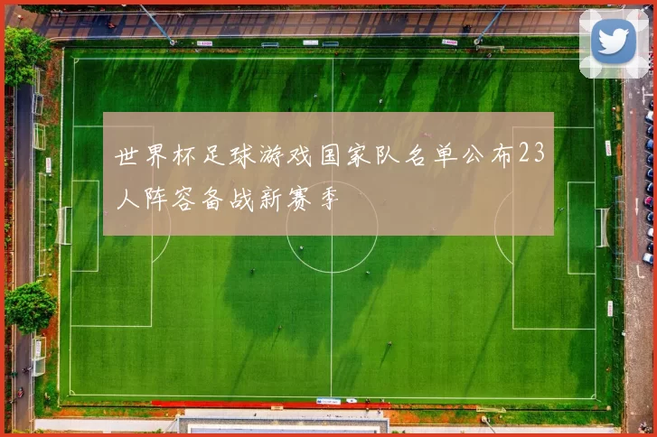 世界杯足球游戏国家队名单公布23人阵容备战新赛季