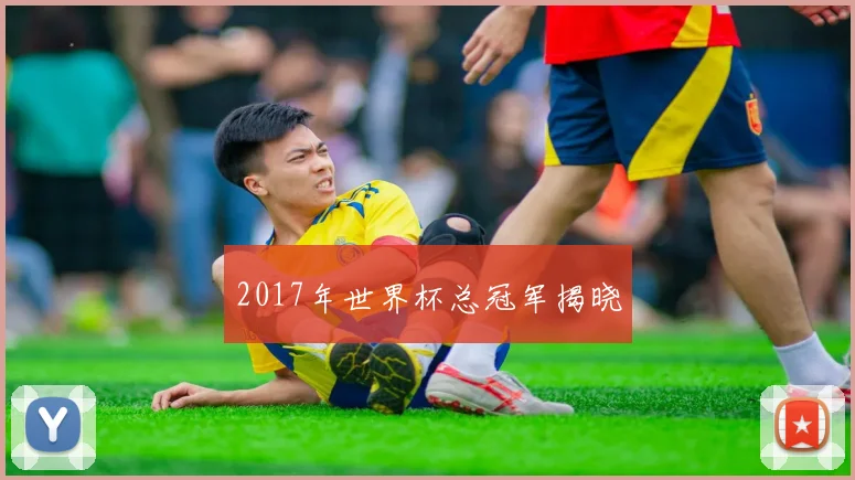 2017年世界杯总冠军揭晓