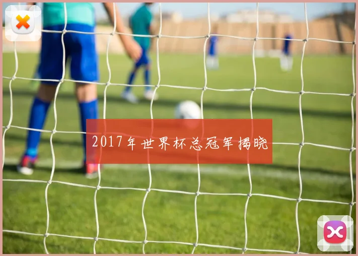 2017年世界杯总冠军揭晓